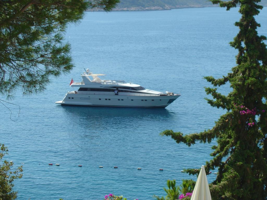 Otel Medusa