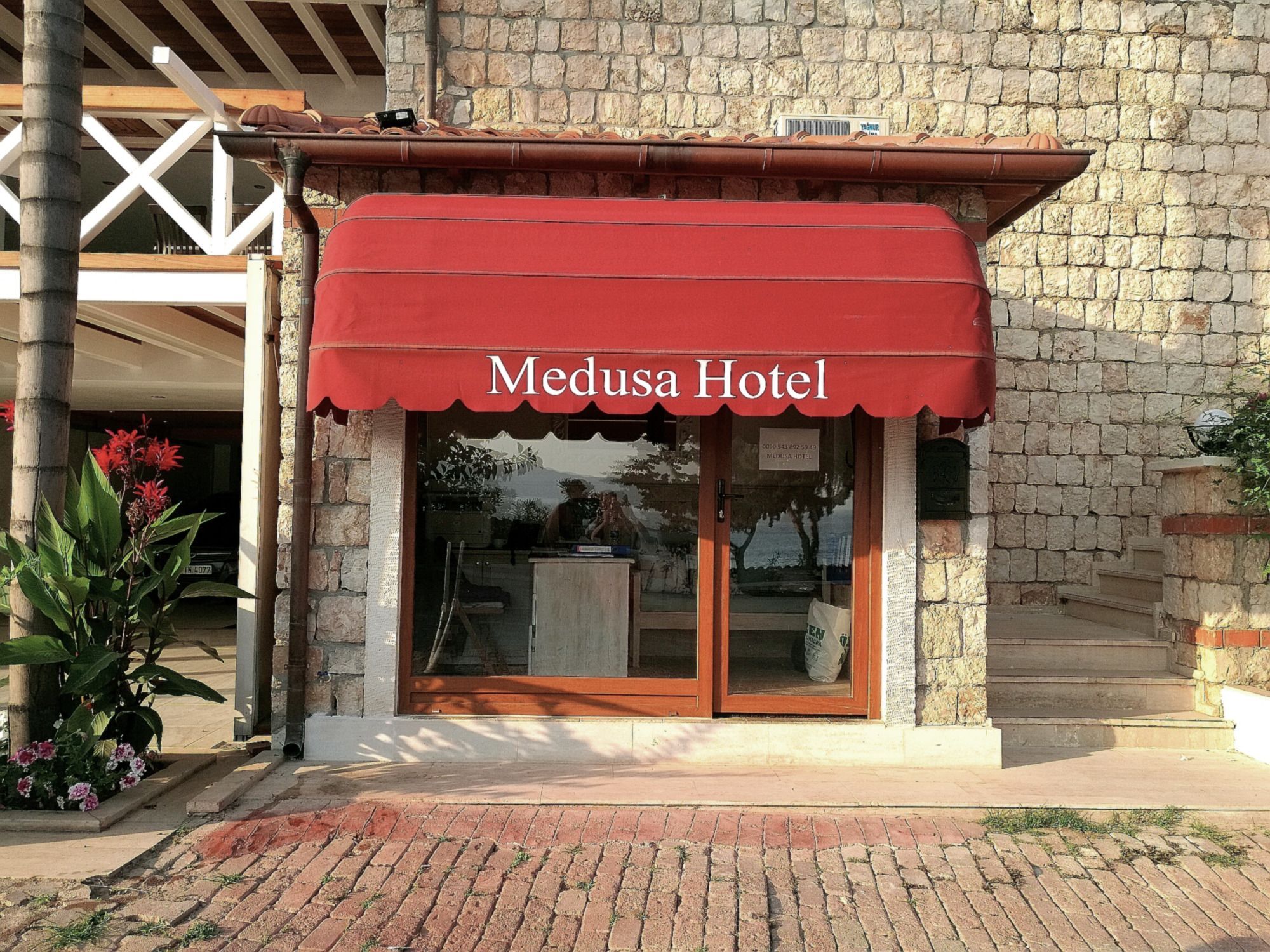 Medusa